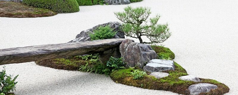 Recommend landscaping a large rock garden.