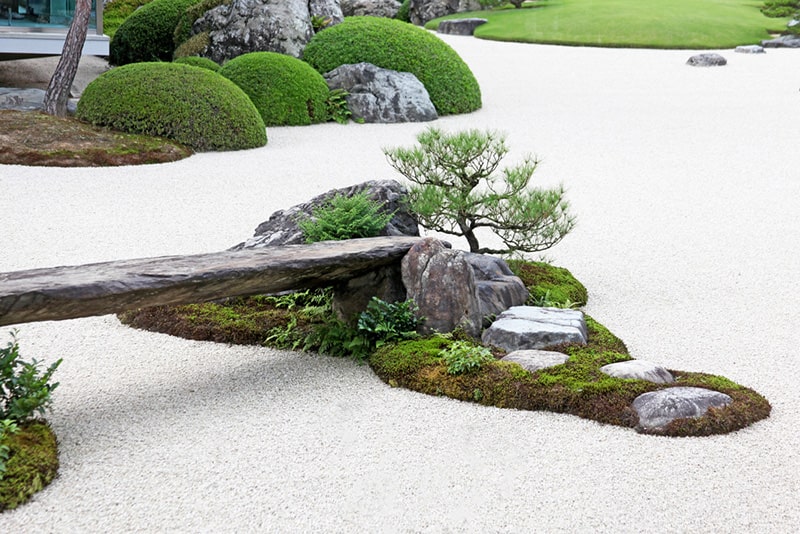 Recommend landscaping a large rock garden.